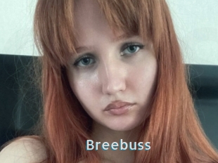 Breebuss