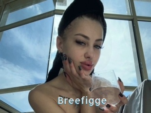 Breefigge