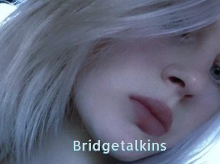 Bridgetalkins