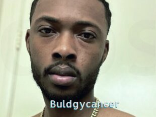 Buldgycancer