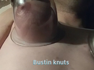 Bustin_knuts