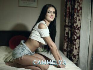 CAMMELYA_