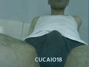 CUCAIO18