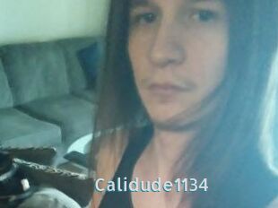 Calidude1134