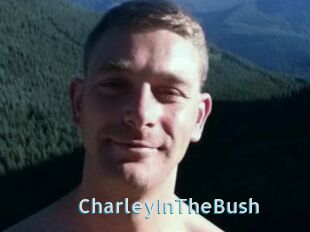 CharleyInTheBush