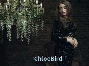 ChloeBird