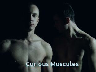 Curious_Muscules