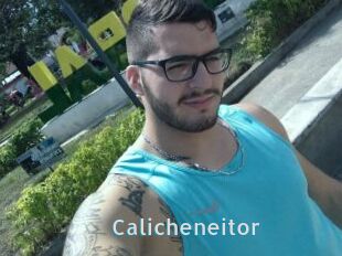 Calicheneitor