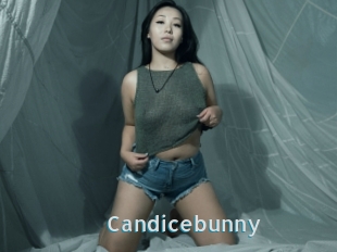 Candicebunny