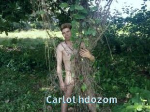 Carlot_hdozom