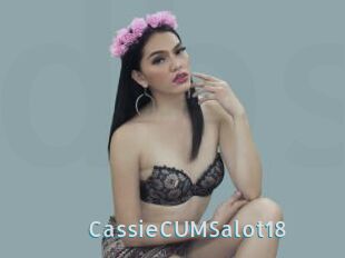 CassieCUMSalot18