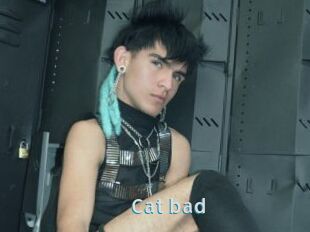Cat_bad