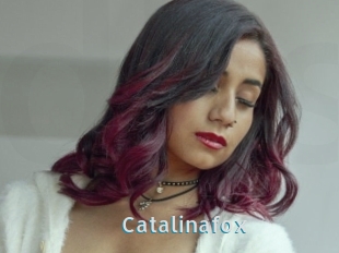 Catalinafox