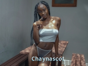 Chaynascot