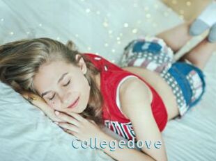 Collegedove