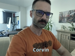 Corvin