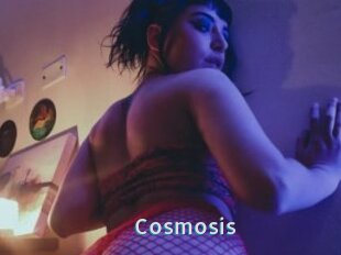 Cosmosis