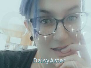 DaisyAster