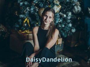 DaisyDandelion