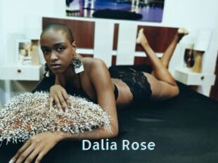 Dalia_Rose