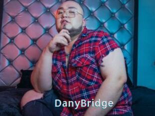 DanyBridge