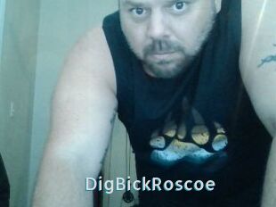 DigBickRoscoe