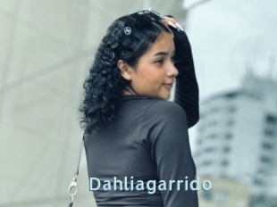 Dahliagarrido