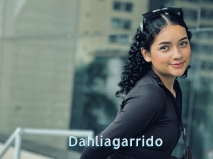 Dahliagarrido