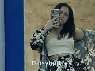 Daisybulkley