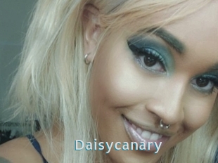 Daisycanary