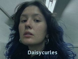 Daisycurles