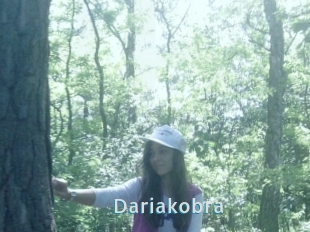 Dariakobra