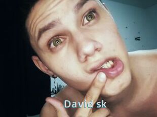 David_sk