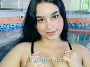 Dayanarabbit