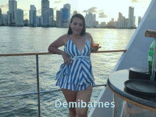 Demibarnes