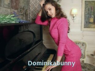 Dominikabunny