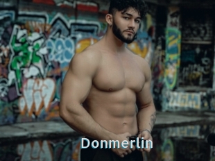 Donmerlin