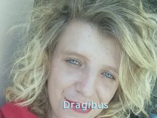 Dragibus