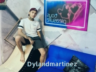 Dylandmartinez