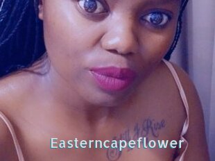 Easterncapeflower