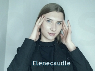 Elenecaudle