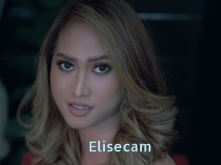 Elisecam