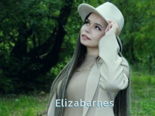 Elizabarnes