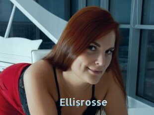 Ellisrosse