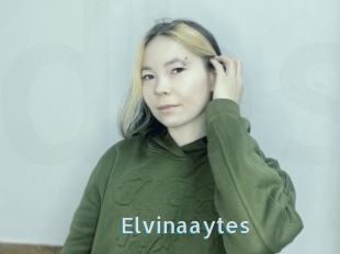 Elvinaaytes