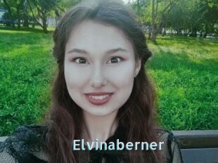 Elvinaberner