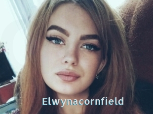 Elwynacornfield