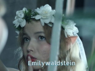 Emilywaldstein