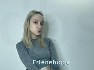 Erlenebigge