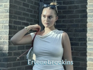 Erlenebrookins